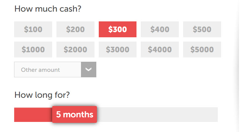 Choose your loan amount